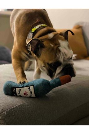Müzik قهوه ای WaowPets Animal Products - کد 777554777