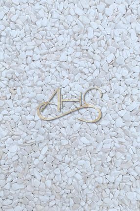 دکوراسیون و اکسسوری اکواریوم AHS - کد 786025675