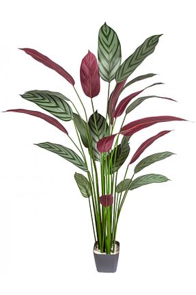 گل خشک و مصنوعی سبز Herdekora - کد 786575842