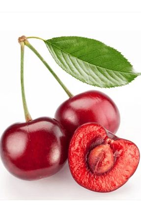 نهال میوه پیوندی Doğan Fidancılık - کد 788964819