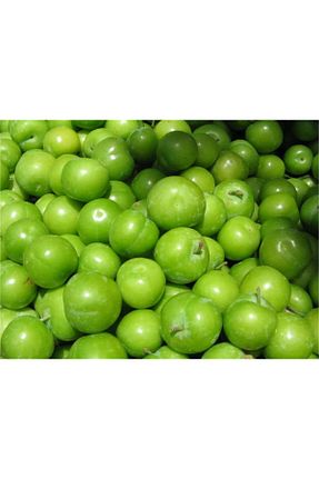 نهال میوه پیوندی Smargat - کد 789764749