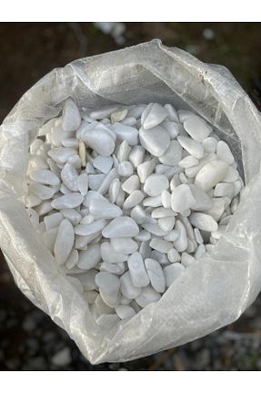 دکوراسیون و اکسسوری اکواریوم Smargat - کد 781377322