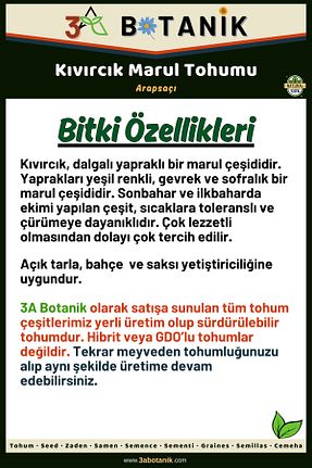 بذرها Sebze Tohumları 3A BOTANİK - کد 798517764
