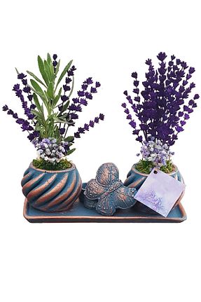 گیاهان داخل ساختمان çiçekseli - کد 315000987