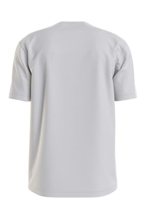 تی شرت طوسی مردانه رگولار یقه گرد پنبه (نخی) تکی کد 798197119