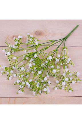گل خشک و مصنوعی سبز MD Aspiz Flowers - کد 800850740
