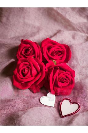 گل خشک و مصنوعی قرمز Happyland - کد 800732788
