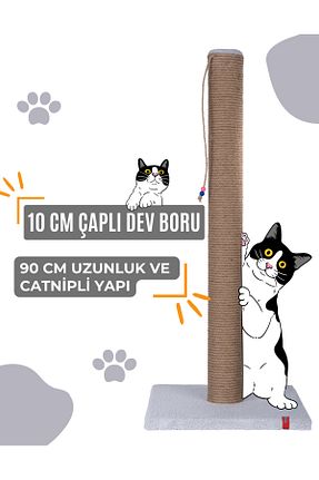  طوسی PUGALO - کد 745804094