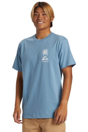 تی شرت آبی مردانه رگولار یقه گرد تکی کد 801857073