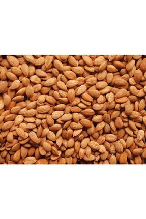 بادام Propatis Magro - کد 97974510