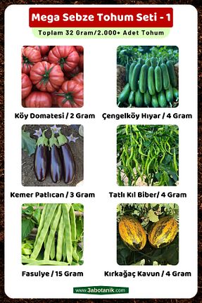 بذرها Sebze Tohumları 3A BOTANİK - کد 641313084