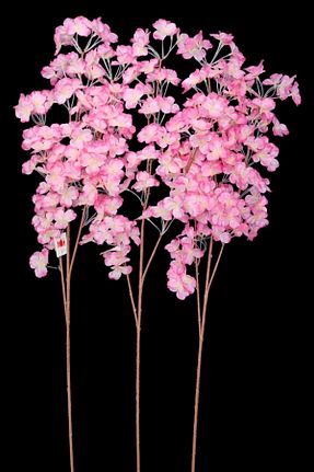 گل خشک و مصنوعی صورتی MD Aspiz Flowers - کد 805989847