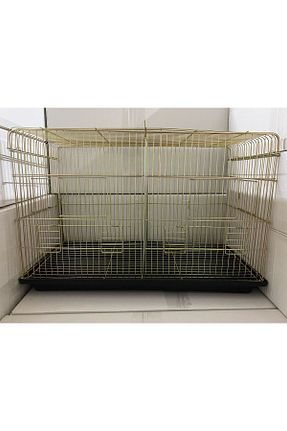  Polly - کد 808474520