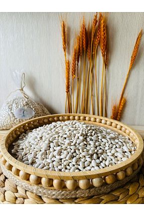 لوبیا Sedlin Natural - کد 812516316