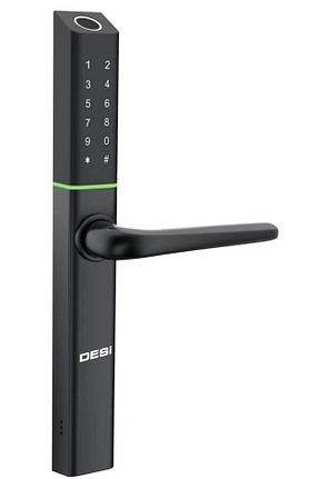  Desi - کد 813490381