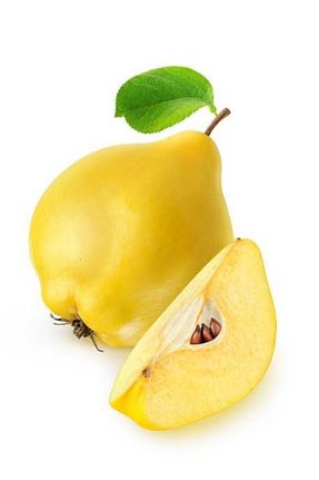 میوه Fruit Paradise - کد 815747470