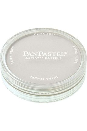 رنگ پاستل بژ Panpastel - کد 820446298