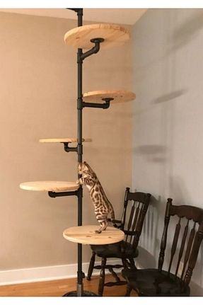 قفسه دیواری فیروزه ای 100 cm Blbndesign - کد 330718765