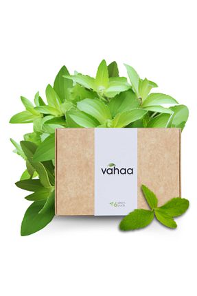 سایر لوازم خانگی هوشمند Vahaa - کد 768946367