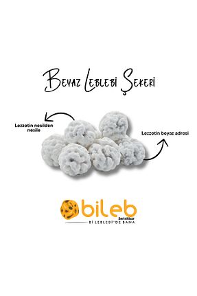  bileb serinhisar bi leblebi