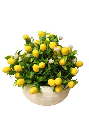 گل خشک و مصنوعی سفید Cennet Home - کد 826659953