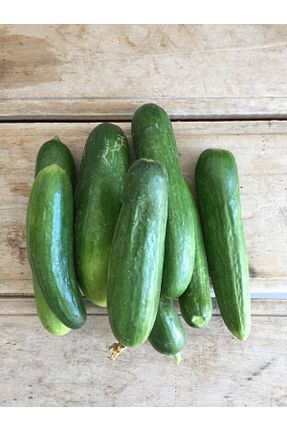 سبزی Küçük Çiftçiden - کد 48508186