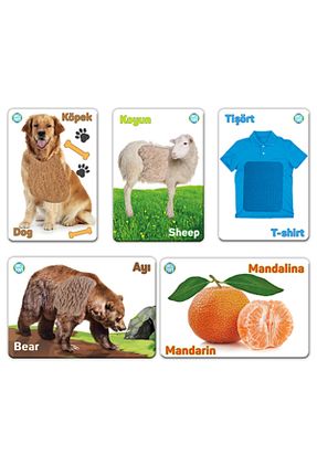 عروسک و اسباب بازی فعالیتی سفید Circle Toys - کد 34852917