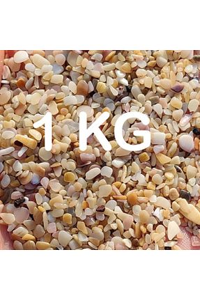 دکوراسیون و اکسسوری اکواریوم Melien - کد 827696822