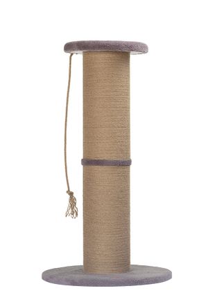  طوسی PUGALO - کد 809753425