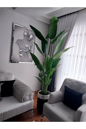 گل خشک و مصنوعی مشکی İremÇiçekçilik - کد 788742726