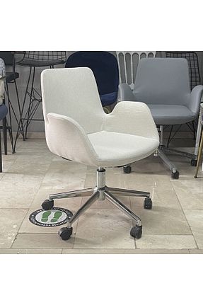 صندلی مطالعه بژ ثابت evofisdünyası - کد 358487398