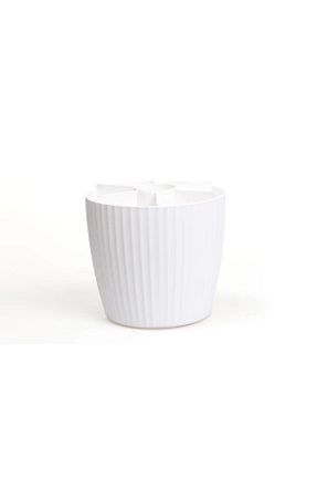 جای مسواک سفید Ecolux - کد 826298778