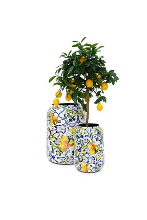 گلدان طوسی Greenmall - کد 832972861