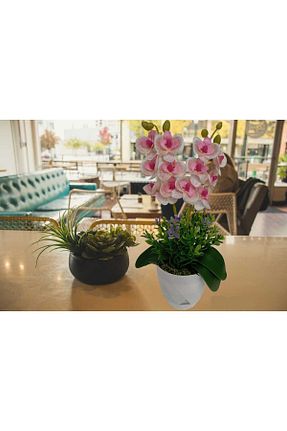 گل خشک و مصنوعی سرمه ای Cennet Home - کد 811066780