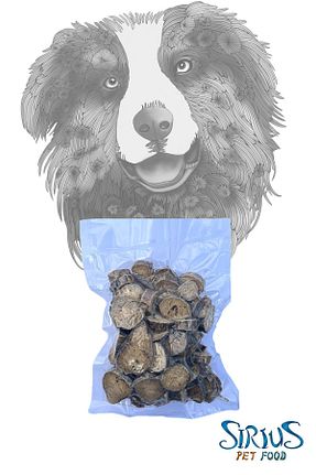  Sirius Pet Food - کد 768942117