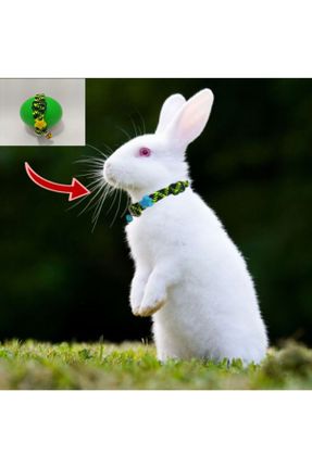 خرگوش کد 158733689