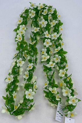 گل خشک و مصنوعی سفید MD Aspiz Flowers - کد 800040223