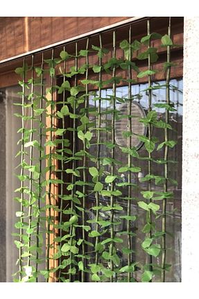 تزئینات درب سبز حصیر Cherry Collection - کد 287912419