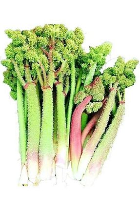 میوه vanotlupeyniri - کد 283545631