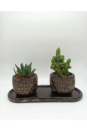 گلدان مشکی Home - کد 836764688