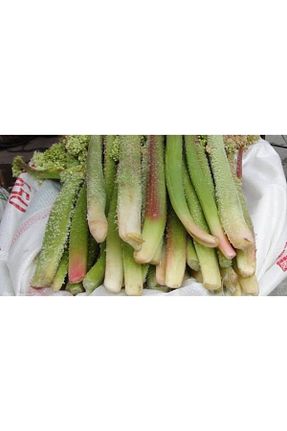 میوه vanotlupeyniri - کد 283545631