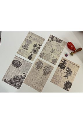 کاغذ و قلم هنری رنگی SF SCRAPBOOK KIRTASİYE - کد 756681873