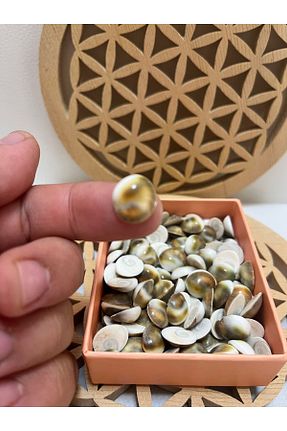 سنگ و قالب معطر gemsartdeco - کد 837736951