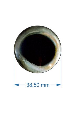 اکسسوری ماهیگیری طوسی fishing boat equipment - کد 837949428