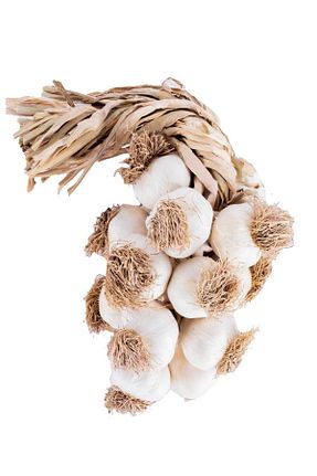 سبزی Dr. Garlic - کد 211489715
