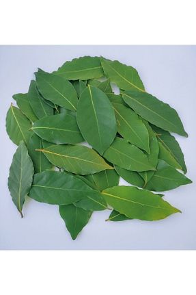 محصولات عطاری Semgiller - کد 641276123