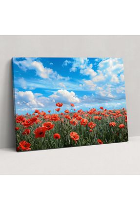 تابلو رنگی کنواس Popcas - کد 839134075