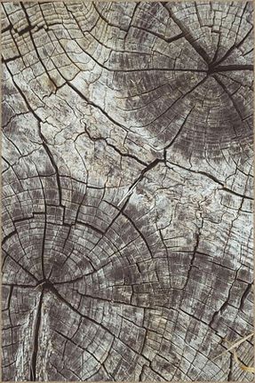 فرش رنگی قابل شستشو Rugs Modern Halı - کد 839594099