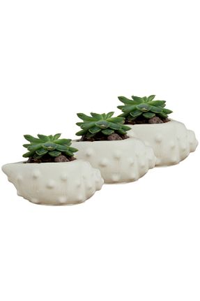 گلدان سفید Evene - کد 656109885