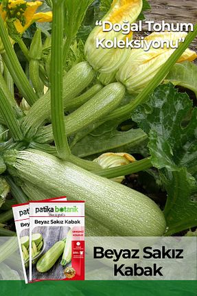 بذرها Sebze Tohumları Patika Botanik - کد 224975622